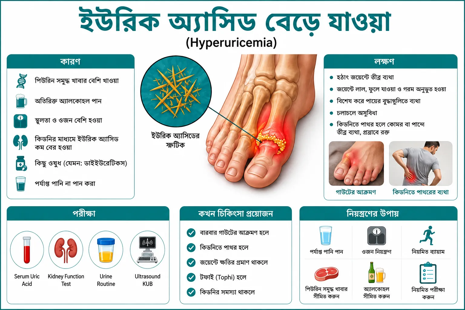 ইউরিক অ্যাসিড বেড়ে যাওয়া (Hyperuricemia): কারণ, পরীক্ষা, চিকিৎসা ও কখন চিকিৎসা প্রয়োজন