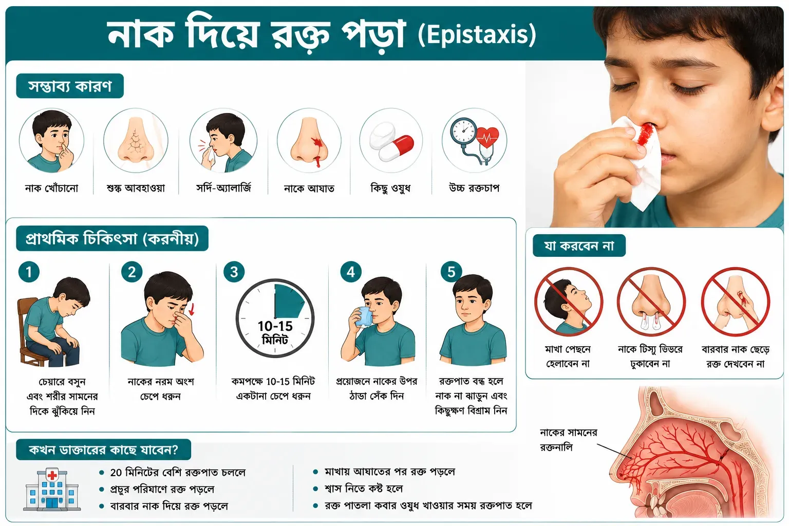 bengali-nosebleed-first-aid-infographic