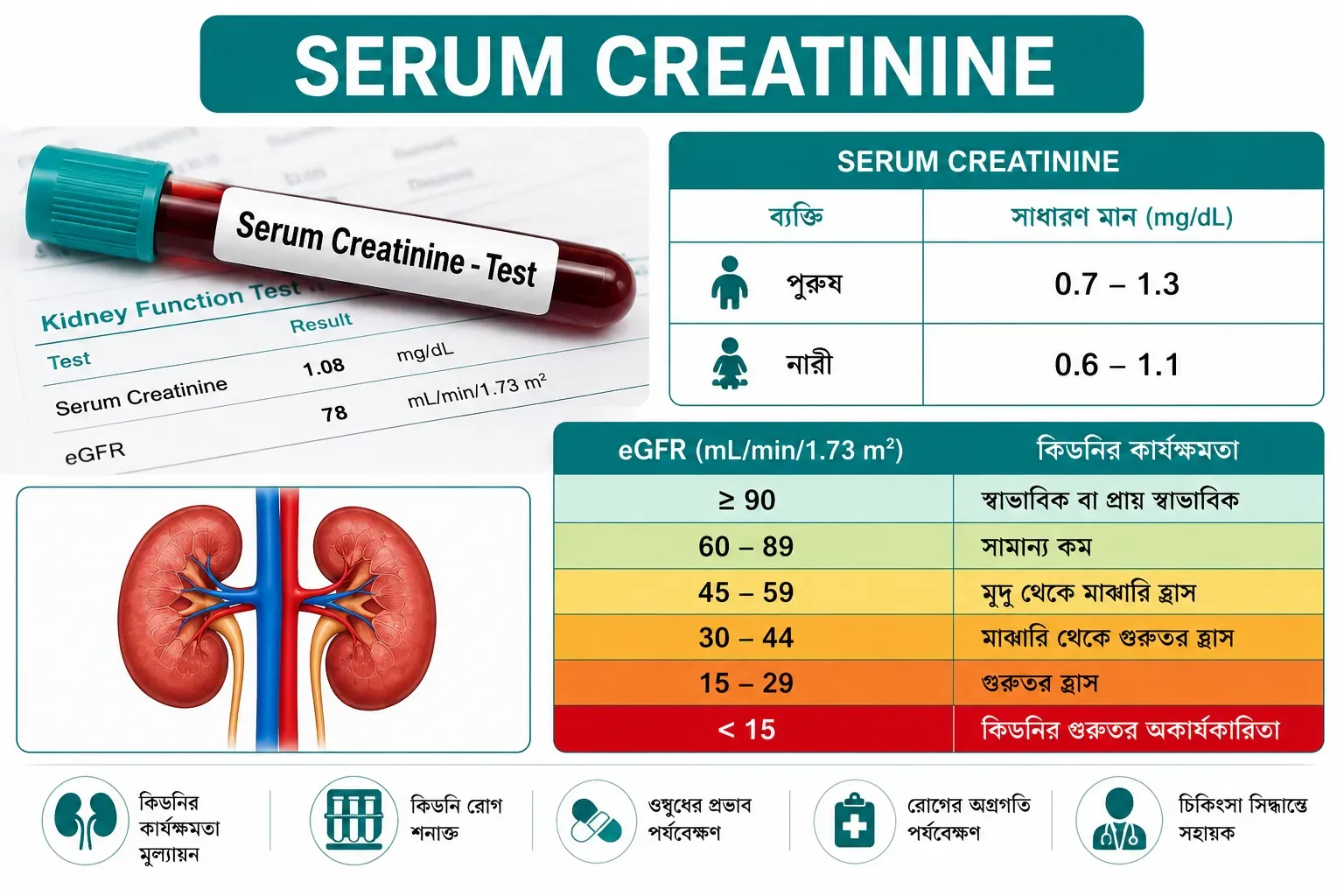 serum-creatinine-kidney-function-infographic